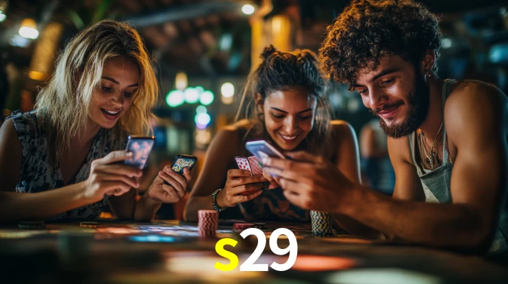 s29 App Interface